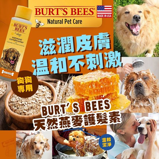 圖片 *貨品已截單*A P4U : 4底: Burt's Bees 狗狗天然燕麥護髮素