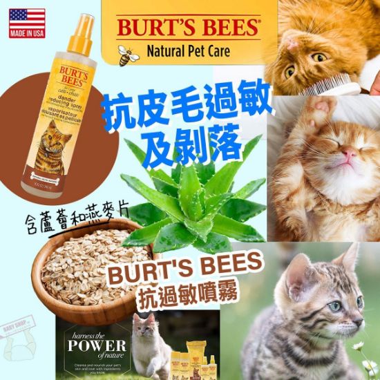 圖片 *貨品已截單*A P4U 2中: Burt's bees 貓咪抗過敏噴霧