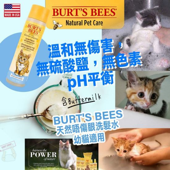 圖片 *貨品已截單*A P4U 2中: Burt's bees  貓咪純天然洗髮液