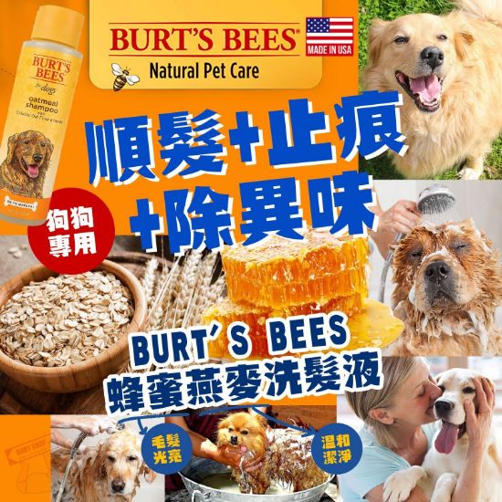圖片 *貨品已截單*A P4U 11 底：Burt's bees  for Dogs 燕麥蜂蜜洗髮液